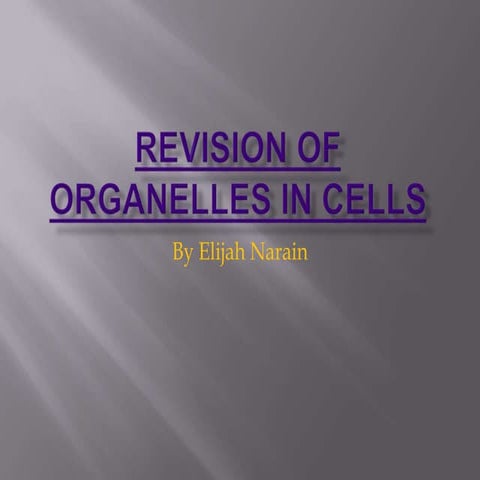 Revision on Cells