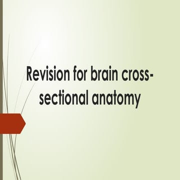 Revision for brain cross-sectional anatomy | PPTX