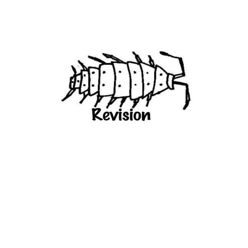 Revision