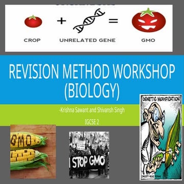 Revision Method Workshop Biology (Group Work) K&S.pptx
