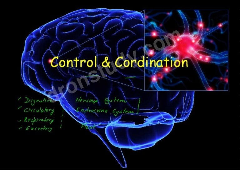 Control and Coordination