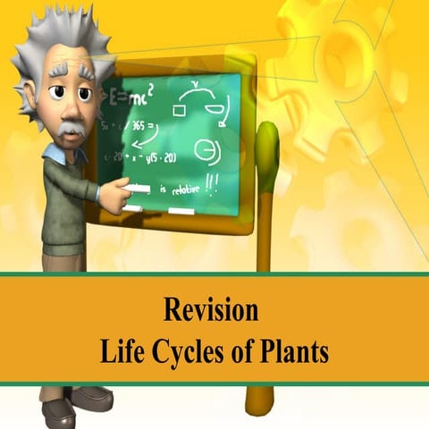 Revision- Life Cycle of Plants 2nd March