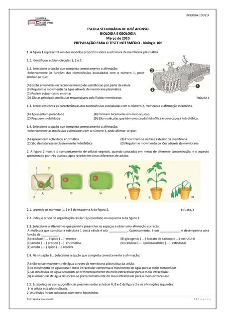 EXERCÍCIOS DE BIOLOGIA 10º