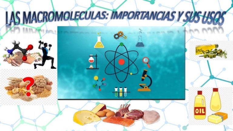 Las Macromoleculas De La Vida Tema V Nutricion Images