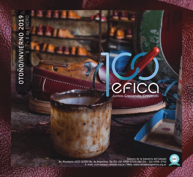 Catálogo Efica 100