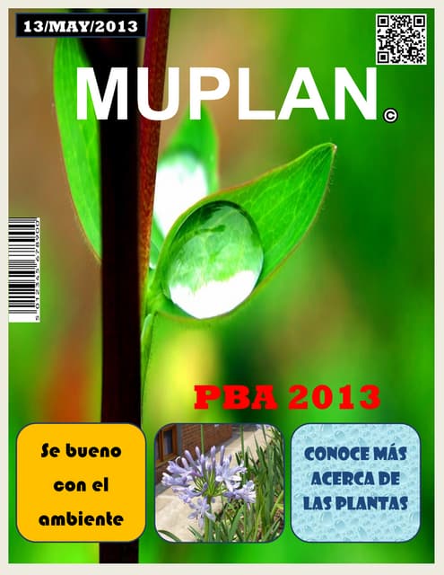 Fisiologia vegetal | PPT