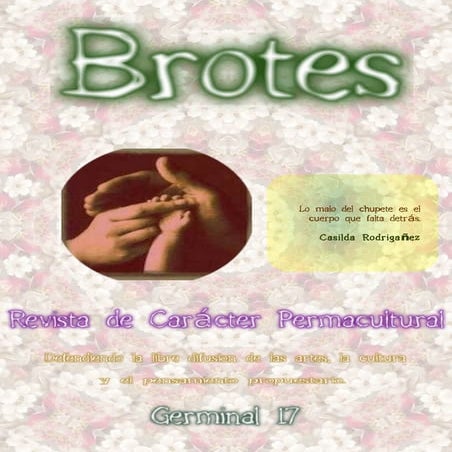 Revista brotes 0017