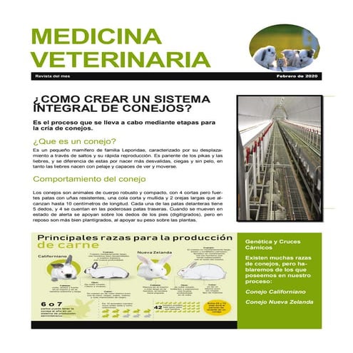 Revista digital para el curso de las tics