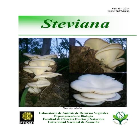 Revista steviana v6