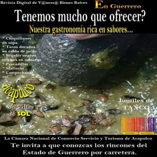 Revista turística que comemos en gu...