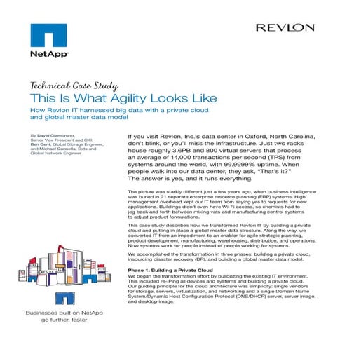 Revlon Technical Case Study