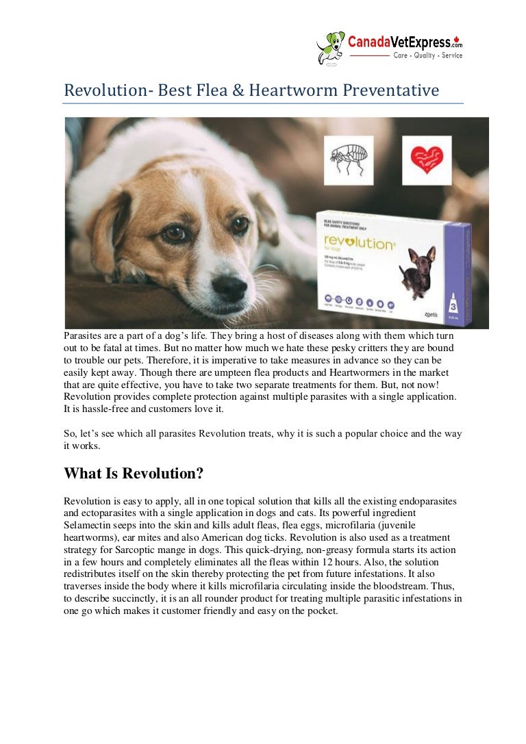 best flea and heartworm for dogs