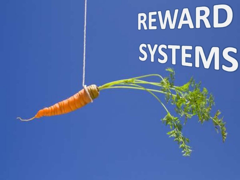 Reward Systems