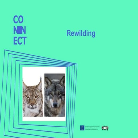 rewilding - protecting biodiversity and ecosystems.pptx