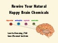 Rewire your natural happy brain chemicals: Dopamine, Serotonin, Oxytocin, Endorphin