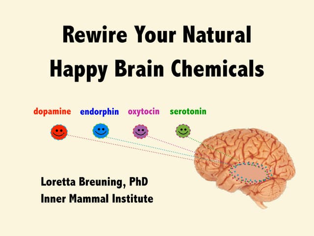 Rewire your natural happy brain chemicals: Dopamine, Serotonin, Oxytocin, Endorphin