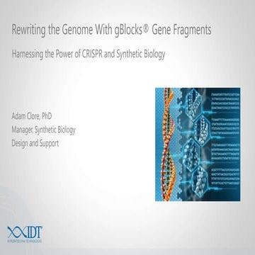 Rewriting the Genome Using CRISPR and Synthetic Biology 