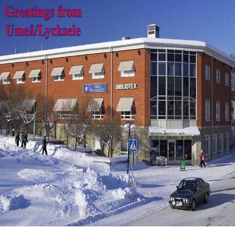 Reykjavik Presen Revid