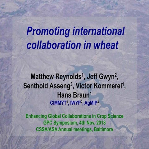Promoting international collaboration in wheat