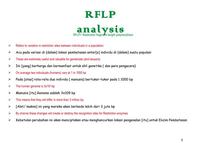 Rflp