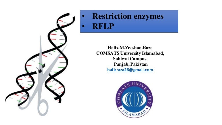 Restriction Fragment Length Polymorphism (RFLP)