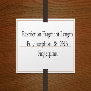 Rflp & dna fingerprint