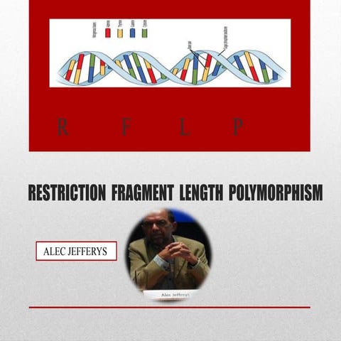 RFLP ,RAPD ,AFLP, STS, SCAR ,SSCP &  QTL