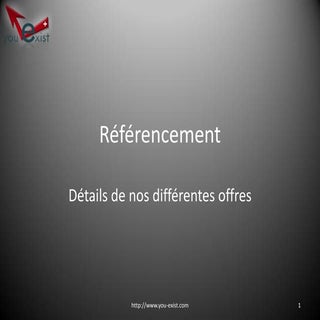 Offre Référencement