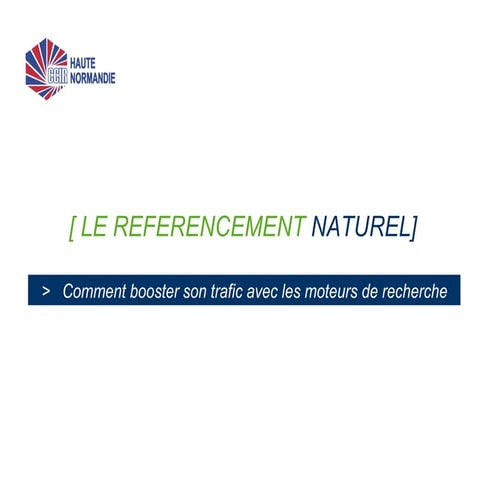 Référencement  Naturel - les bases pour améliorer votre positionnement et vot...