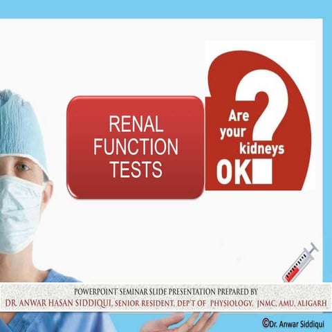 Renal Function Test