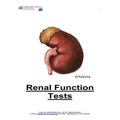 Renal function tests