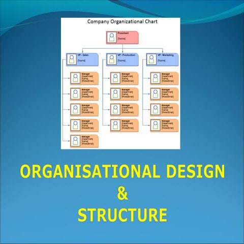 Oganisational design & structure 
