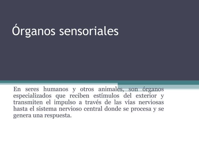óRganos Sensoriales