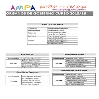Organos de gobierno ampa 2015 16