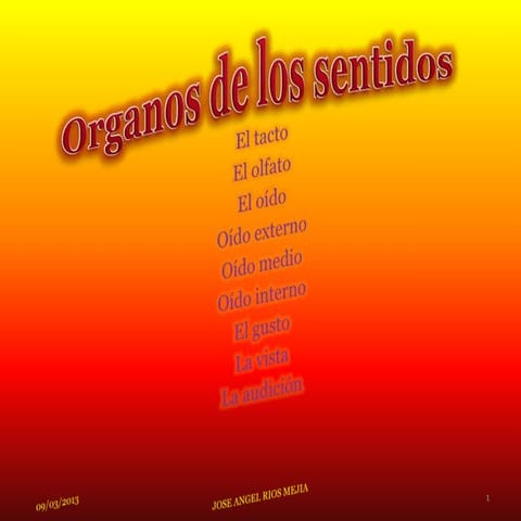 óRganos de los sentidos