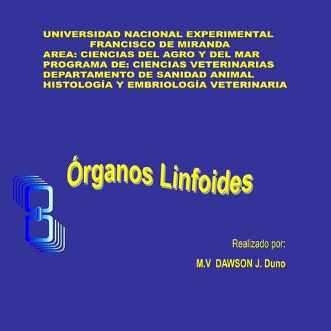 Órganos Linfoides