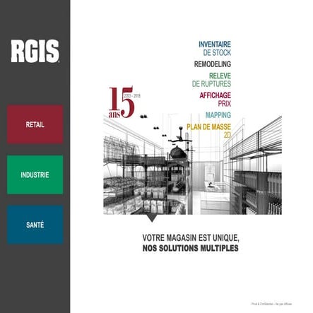 RGIS strategic solutions_2019 | PDF