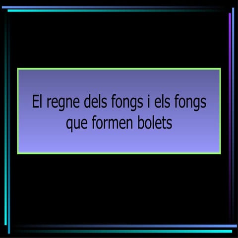 Els bolets