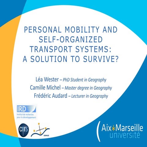 Perspectives - urban mobility challenges in developing countries | PDF