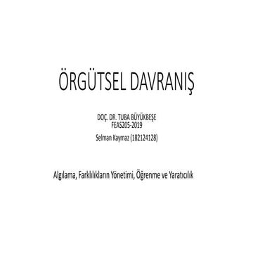 öRgüt; algılama  farlılıklar  öğrenme yaratıcılık