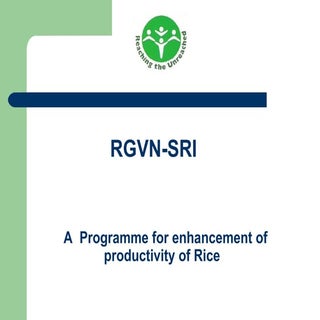 Rgvn assam