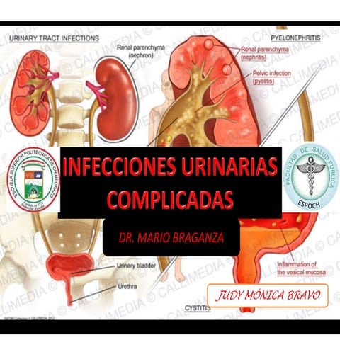 Medicina felina digestivo | PDF