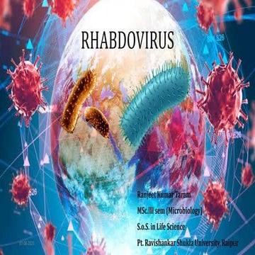 Rhabdovirus by rk taram