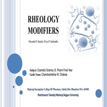 RHEOLOGY MODIFIERS: ENHANCING PERFORMANCE AND FUNCTIONALITY