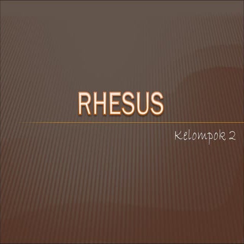 Rhesus | PPT