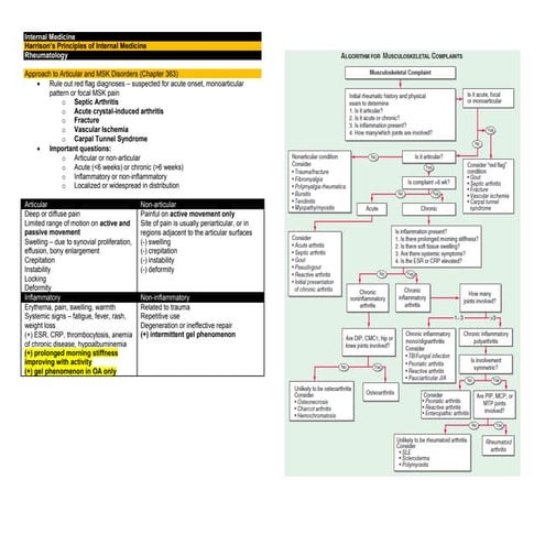 Rheumatology.pdf