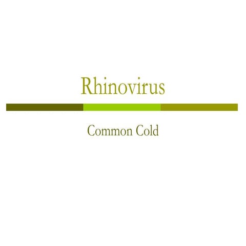 Rhinovirus