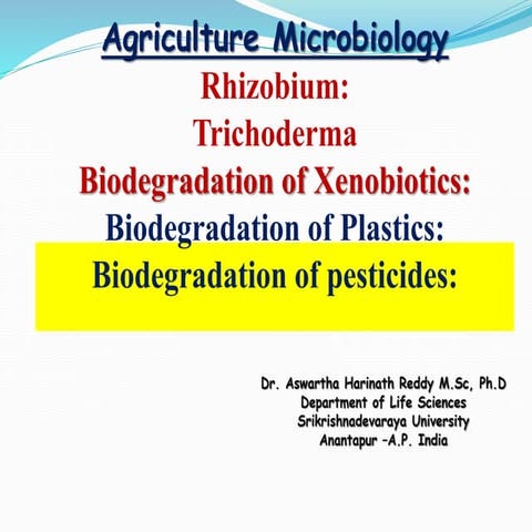 AgricultureMicrobiology: Rhizobium Trichoderma Biodegradation of Xenobiotics ...