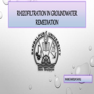 Rhizofiltration in Groundwater Remediation.pptx