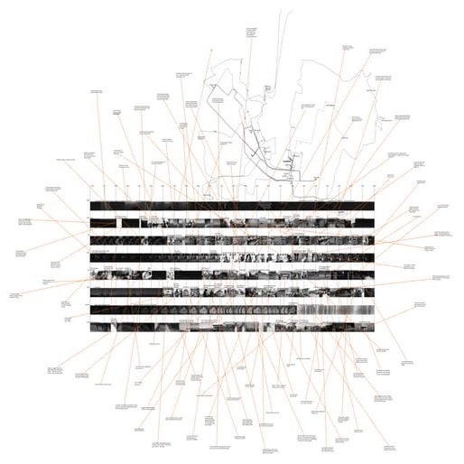 Rhizome bevis ferdig tes tene